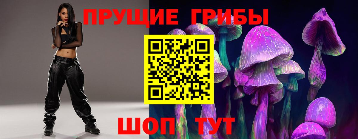 Лыткарино  Псилоцибиновые грибы Psilocybe  Вход с VPN  Галлюциногенные грибы мицелий 